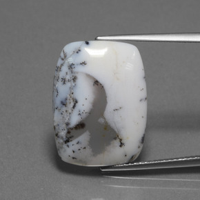 Calcedônia Dendrítica Multicolorido Natural 10.32ct, Almofada cortada, Translúcido