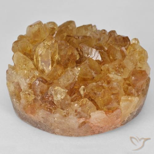64.51ct Natural Marrom dourado Druzy Citrine, Chique, Opaco