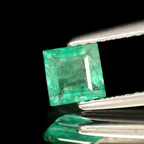 Esmeralda verde natural 0,49ct, quadrado, SI-I1