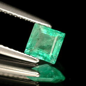 Esmeralda verde natural 0,49ct, quadrado, SI-I1