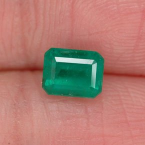 Esmeralda verde natural 0,79ct, corte esmeralda, I1