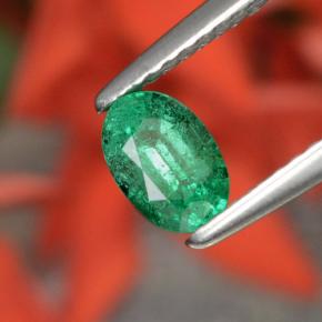 Esmeralda verde natural 0,48ct, corte oval, SI-I1