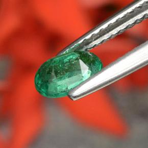 Esmeralda verde natural 0,48ct, corte oval, SI-I1