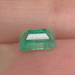 Esmeralda verde natural 1,00ct, corte esmeralda, SI