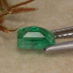 Esmeralda verde natural 0,70ct, corte esmeralda, SI-I1
