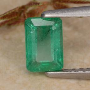 Esmeralda verde natural 0,69ct, corte esmeralda, SI-I1
