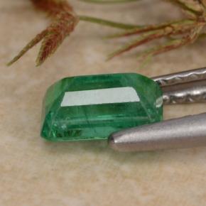 Esmeralda verde natural 0,63ct, corte esmeralda, SI-I1