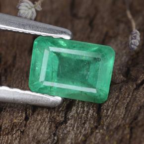 Esmeralda verde natural 0,68ct, corte esmeralda, SI-I1