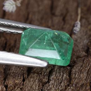 Esmeralda verde natural 0,68ct, corte esmeralda, SI-I1