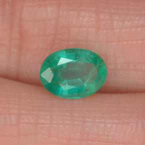 Esmeralda verde natural 1,13ct, corte oval, SI-I1