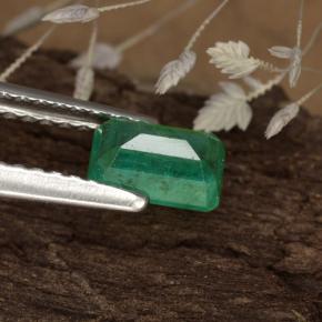 Esmeralda verde natural 0,59ct, corte esmeralda, SI-I1
