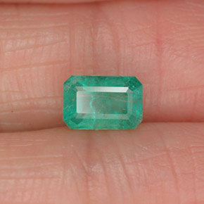 Esmeralda verde natural 0,61ct, corte esmeralda, SI-I1