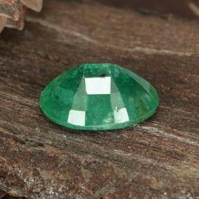 Esmeralda verde natural 1,12ct, corte oval, SI-I1