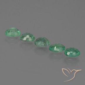 Pedras preciosas de Esmeralda Verde médio natural de 1.60 ct, oval, SI