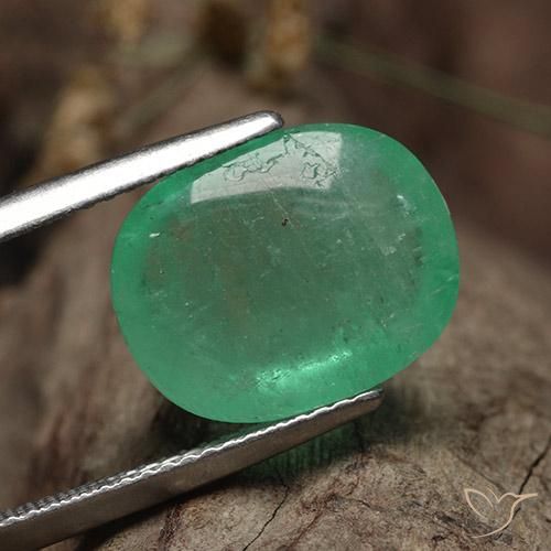 Esmeralda Luz verde Natural 9.62ct, oval, Translúcido