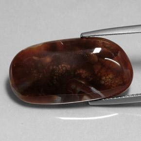 Ágata de fogo multicolorido natural 11,99ct, transparente, transparente/translúcido
