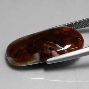 Ágata de fogo multicolorido natural 11,99ct, transparente, transparente/translúcido
