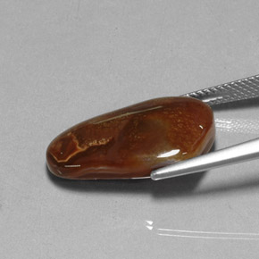 Ágata de fogo multicolorido natural 9,15ct, transparente, transparente/translúcido