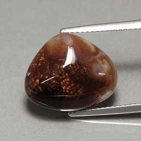 Ágata de fogo multicolorido natural 7,46ct, transparente, transparente/translúcido
