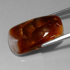 Ágata de fogo multicolorido natural 11,41ct, transparente, transparente/translúcido