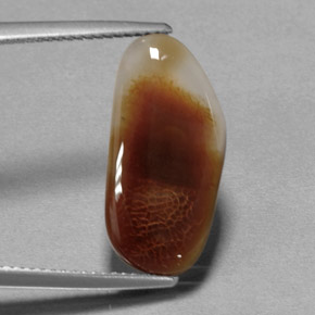 Ágata de fogo multicolorido natural 6,66ct, transparente, transparente/translúcido