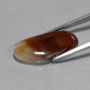 Ágata de fogo multicolorido natural 6,66ct, transparente, transparente/translúcido