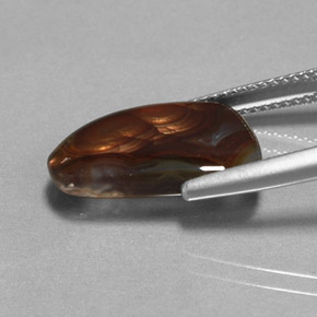 Ágata de fogo multicolorido natural 5,78ct, transparente, transparente/translúcido