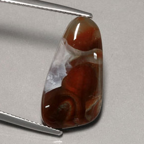Ágata de fogo multicolorido natural 8,86ct, transparente, transparente/translúcido