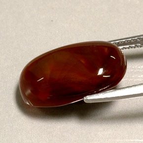 Ágata de fogo multicolorido natural 4,95ct, transparente, transparente/translúcido