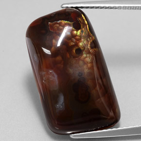 Ágata de fogo multicolorido natural 15,26ct, forma extravagante, opaco