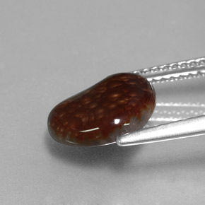 Ágata de fogo multicolorido natural 2,22ct, forma extravagante, opaco
