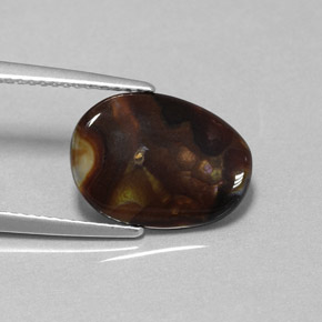 Ágata de fogo multicolorido natural 3,13ct, forma extravagante, opaco