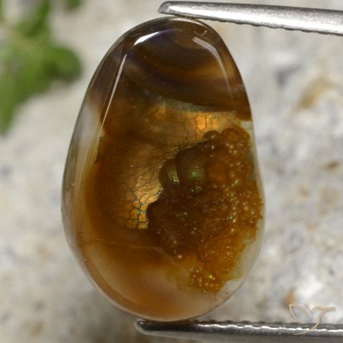 6.92ct Natural Multicolorido Ágata de fogo, Chique, Translúcido