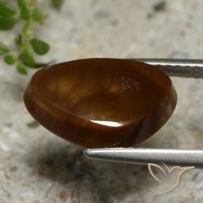Ágata de fogo Multicolorido Natural 3.68ct, Trilhão, Translúcido