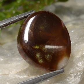 Ágata de fogo Multicolorido Natural 4.28ct, Forma extravagante, Translúcido