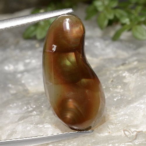 5.25ct Natural Multicolorido Ágata de fogo, Chique, Translúcido