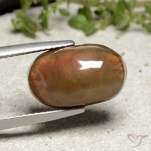 Ágata de fogo Multicolorido Natural 6.66ct, oval, Opaco