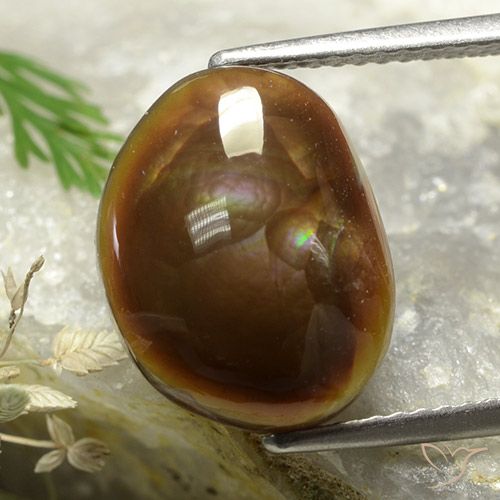 5.37ct Natural Multicolorido Ágata de fogo, Chique, Opaco
