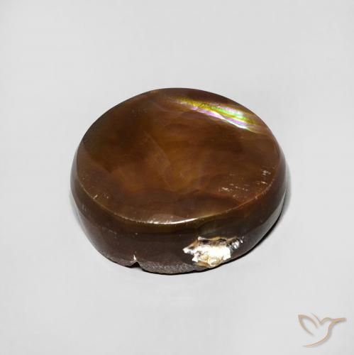 Ágata de fogo Multicolorido Natural 5.73ct, oval, Opaco