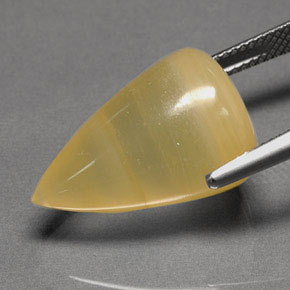 Opala de fogo amarelo natural 15,12ct, transparente, transparente/translúcido