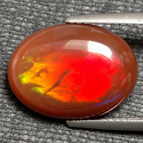 Opala de fogo multicolorido natural 6,21ct, corte oval, translúcido