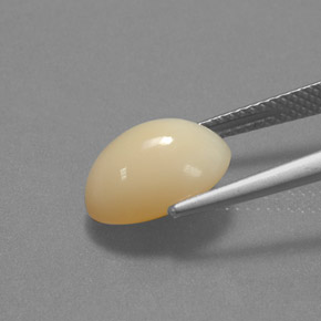 Opala de fogo amarelo natural 3,27ct, corte oval, translúcido