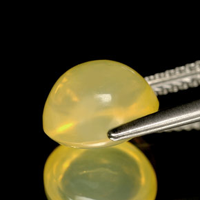 Opala de fogo amarelo natural 2,52ct, transparente, transparente/translúcido