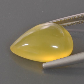 Opala de fogo amarelo natural 4,75ct, transparente, transparente/translúcido