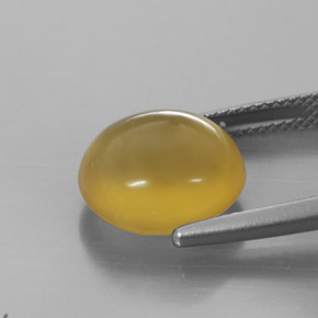 Opala de fogo amarelo natural 5,28ct, transparente, transparente/translúcido