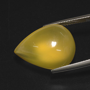 Opala de fogo amarelo natural 15,76ct, transparente, transparente/translúcido