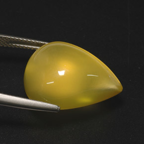 Opala de fogo amarelo natural 15,76ct, transparente, transparente/translúcido