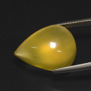 Opala de fogo amarelo natural 15,76ct, transparente, transparente/translúcido