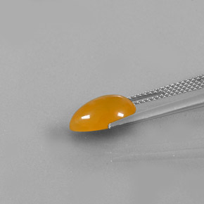 Opala de Fogo Amarelo alaranjado Natural 1.51ct, Transparente, Transparente/Translúcido