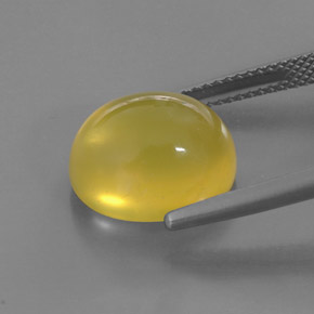 Opala de fogo amarelo natural 6,91ct, transparente, transparente/translúcido